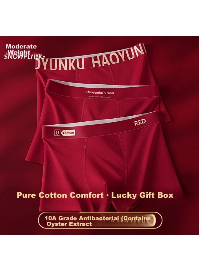 Snowflying Men's Cotton Oyster Fiber 10a Antibacterial Crotch Boxer Briefs Red Marriage Gift Box Year Of The Horse - Image 1
