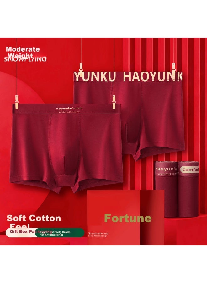 Snowflying Men's Cotton Oyster Fiber 10a Antibacterial Crotch Boxer Briefs Red Marriage Gift Box Year Of The Horse - Image 5