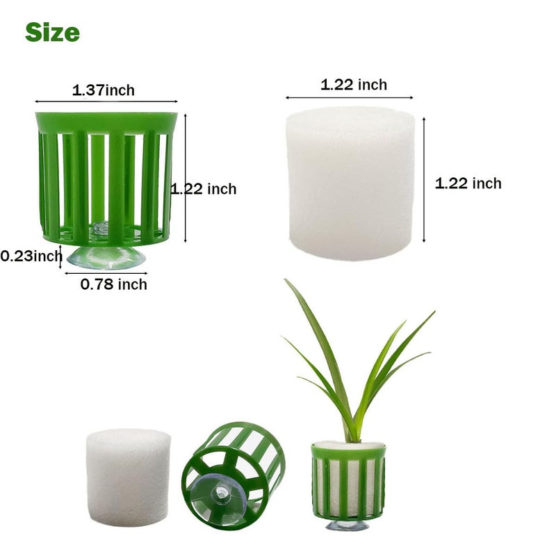 HAISENGO 24 Set Anti-Floating Aquarium Plant Rings, Aquatic Plants Fixed Rings with Suction, Aquarium Landscape Plastic Plant Fixing Aquarium Plant Weights Pot Fish Tank Accessories - Image 3