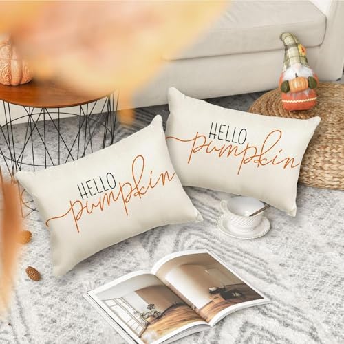 RABUSOFA Fall Pillow Covers 12x20 Inch,Autumn Hello Pumpkin Pillows Decorative Throw Pillows,Lumbar Outdoor Thanksgiving Cushion Cover Farmhosue Fall Decor for Bedroom Couch Sofa White - Image 2
