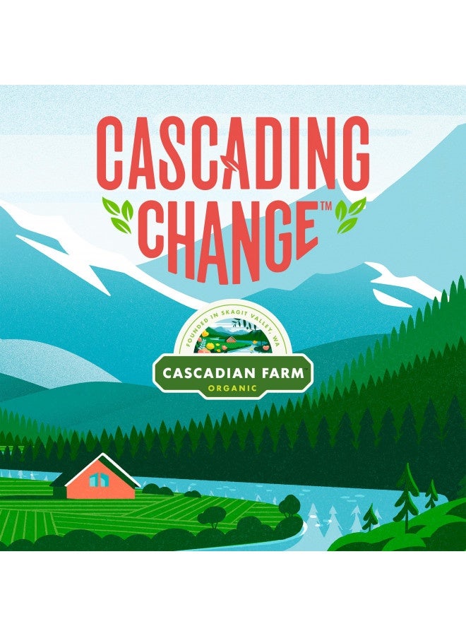 CASCADIAN FARM Cascadian Farm Organic Fruitful O'S Cereal, Gluten Free, 10.2 Oz. - Image 2