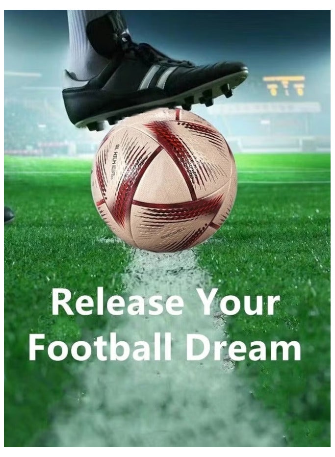 كرة القدم قطر 2022 - Image 5