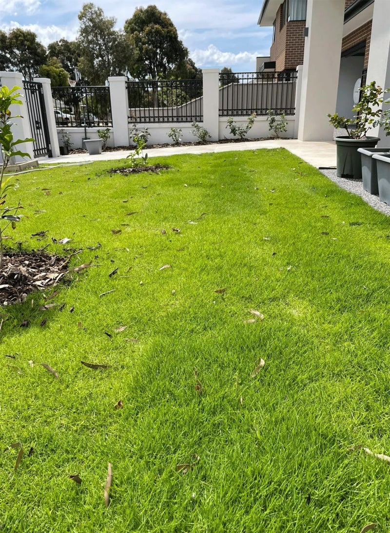 GGOOT Lawn Seeds Will Bring Your Garden and Yard to Life and are Suitable for Lawn Restoration, They Will Grow in a Short time of just a Few Weeks (10LB) - Image 3