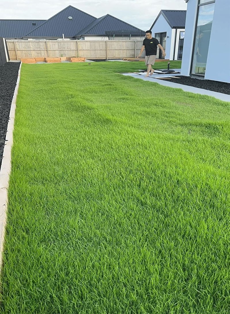 GGOOT Lawn Seeds Will Bring Your Garden and Yard to Life and are Suitable for Lawn Restoration, They Will Grow in a Short time of just a Few Weeks (10LB) - Image 1