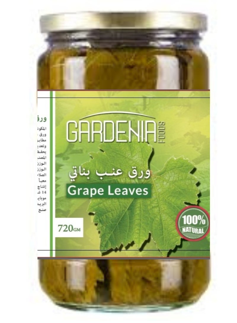 Gardenia Grape leaves 720g