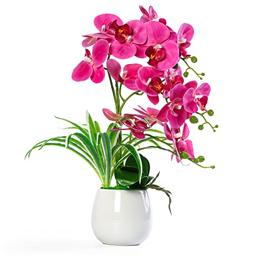 WW Artificial Orchid Plants and Flowers with Vase Fake Faux Orchid in Ceramic Pot19 Fuchsia