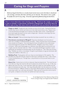 New KS2 English Targeted Question Book: Year 3 Reading Comprehension - Book 2 (with Answers)  - Image 2