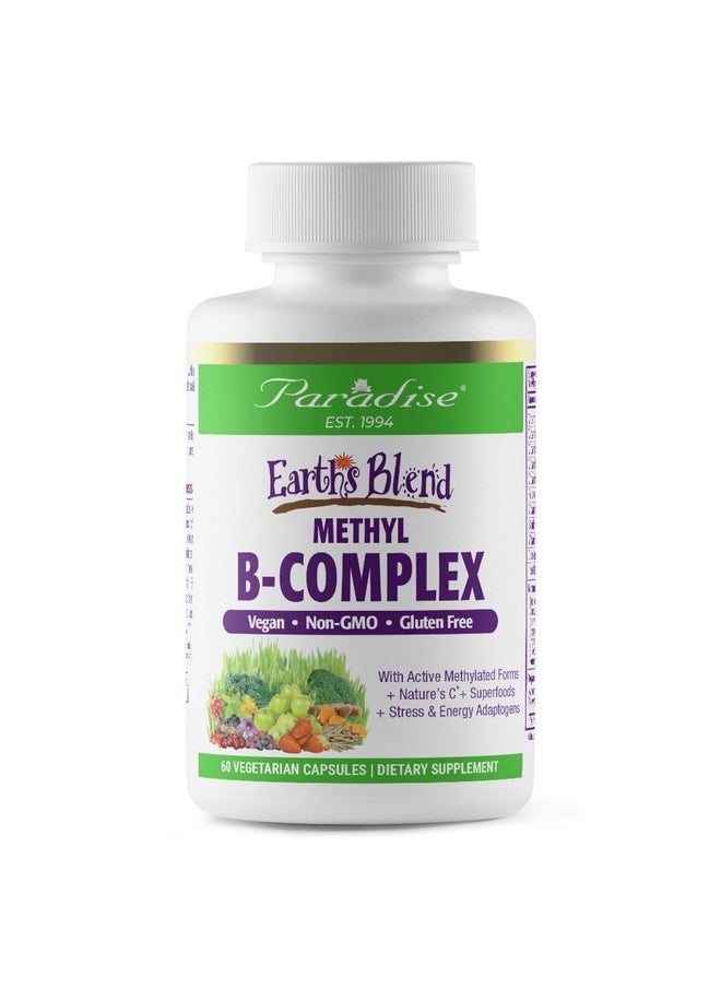 Paradise Herbs, Earth's Blend B-Complex, Methylated, Enzymatically Active Forms of B Vitamins + Superfoods, Supports Energy & Immunity, 60 Capsules - pzsku/ZFAE3F6D6F5F0E50D168FZ/45/_/1739864243/e96e89c2-9b85-4f46-881e-9ef040f388eb