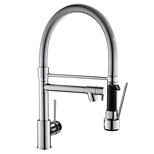 Fapully Chrome Faucet for Kitchen Sink,Kitchen Faucets with Pull Down Sprayer,Commercial Single Handle Kitchen Faucet - Image 1
