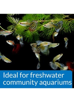 API API PROPER pH 7.0 Freshwater Aquarium Water pH Stabilizer 8.8-Ounce Container  - Image 4