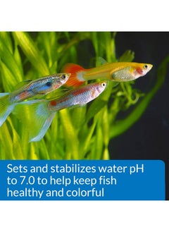 API API PROPER pH 7.0 Freshwater Aquarium Water pH Stabilizer 8.8-Ounce Container  - Image 3
