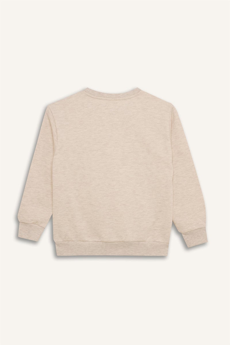 DeFacto Boy Crew Neck Printed Sweatshirt  - Image 5