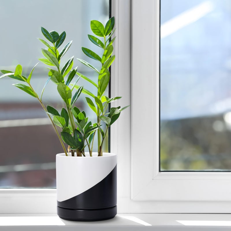 D'vine Dev 6.5 Inch Ceramic Planter Pot with Drainage Hole and Saucer, Indoor Cylinder Round Planter Pot, Oblique Monochrome Black and White, 94-O-C-K - Image 3