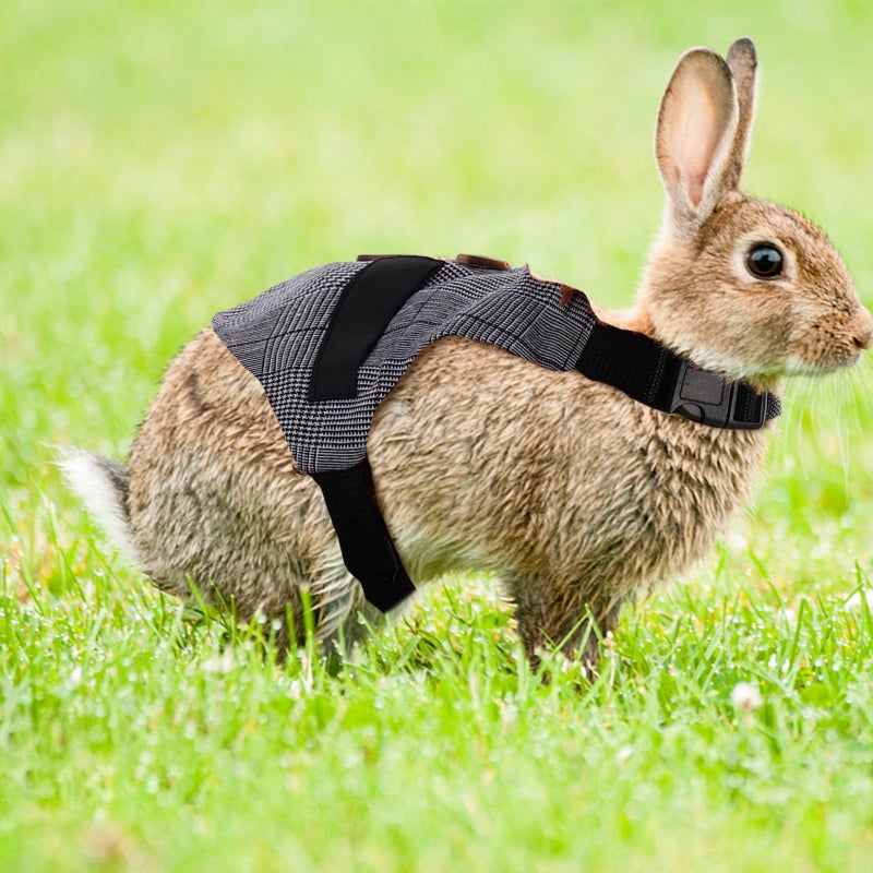 Adjustable Rabbit Harness And Leash Set Formal Vest Style Small Size For Safe Outdoor Walking - Image 5