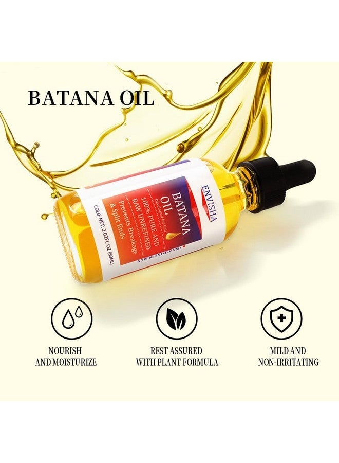 اينڤيشا زيت الباتانا الخام من إنفيشا لنمو الشعر، زيت الباتانا النقي والطبيعي 100% من هندوراس، سيروم مرطب ومقوي للشعر للنساء والرجال - Image 2