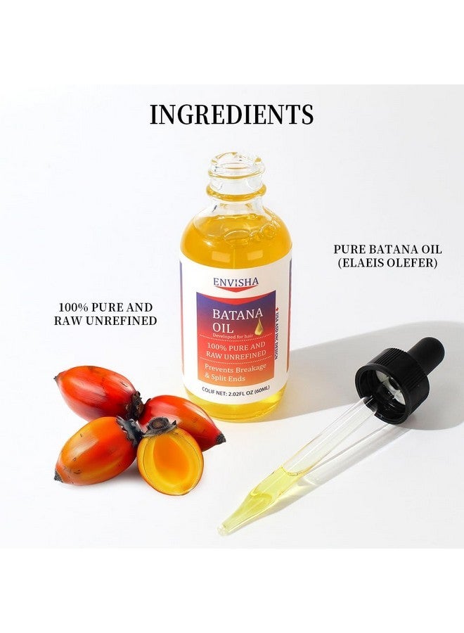 اينڤيشا زيت الباتانا الخام من إنفيشا لنمو الشعر، زيت الباتانا النقي والطبيعي 100% من هندوراس، سيروم مرطب ومقوي للشعر للنساء والرجال - Image 3
