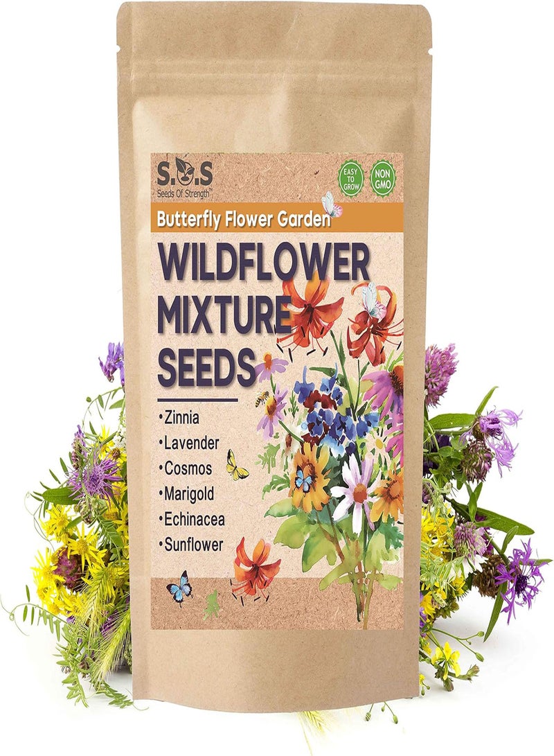 جي جوت 6 أنواع من بذور الزهور البرية المختلطة للنحل والفراشات للزراعة في الهواء الطلق - Image 2