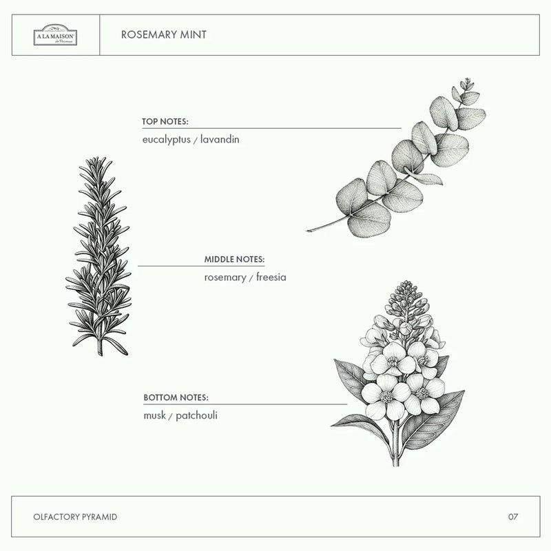 A LA MAISON Liquid Soap - Uses: Hand and Body, Triple Milled, Essential Oils, Biodegradable, Plant Based, Vegan, Cruelty-Free, Alcohol & Paraben Free (16.9 oz, 6 Pack) - Image 5