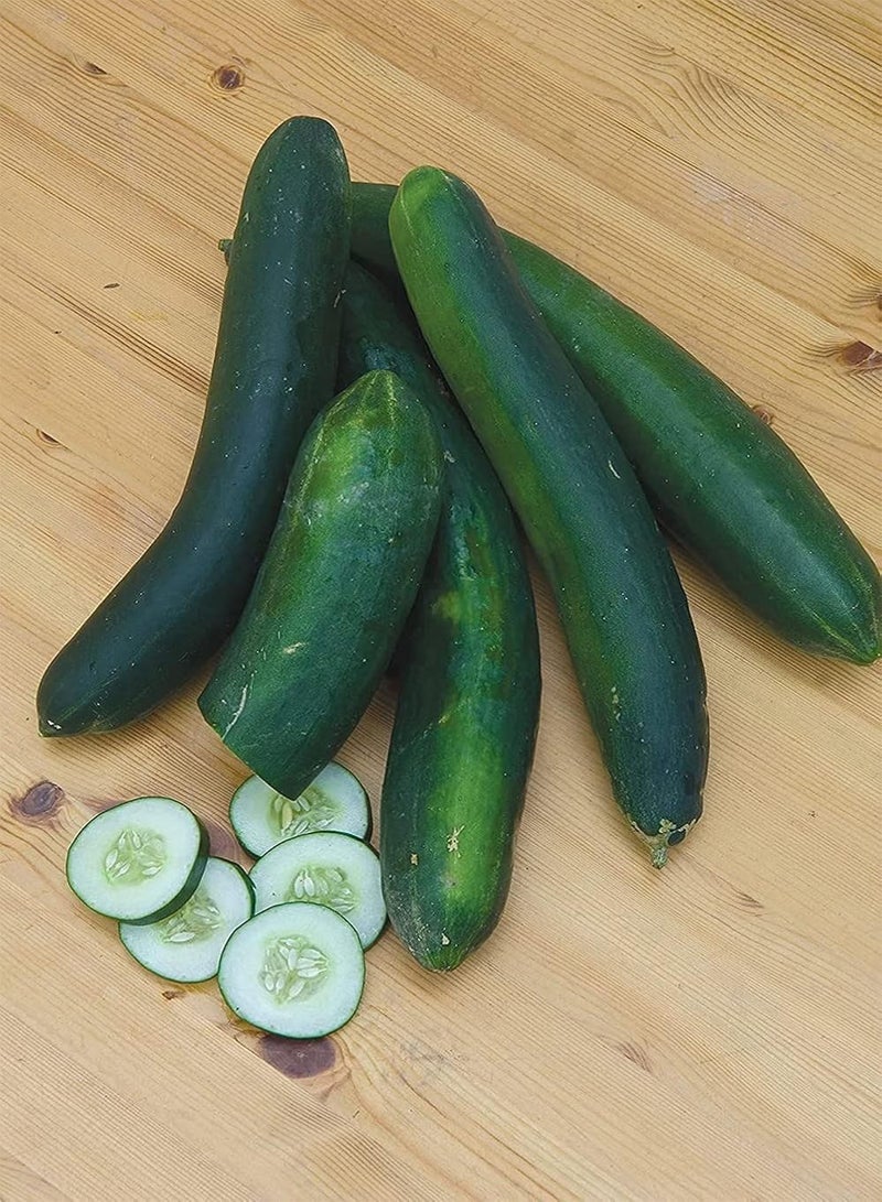 GGOOT 50Stück Gurkensamen in einem Garten im Freien gepflanzt Unverzichtbare Gemüsesorten Natürliches köstliches grünes Gemüse das von Menschen geliebt Wird - Image 2