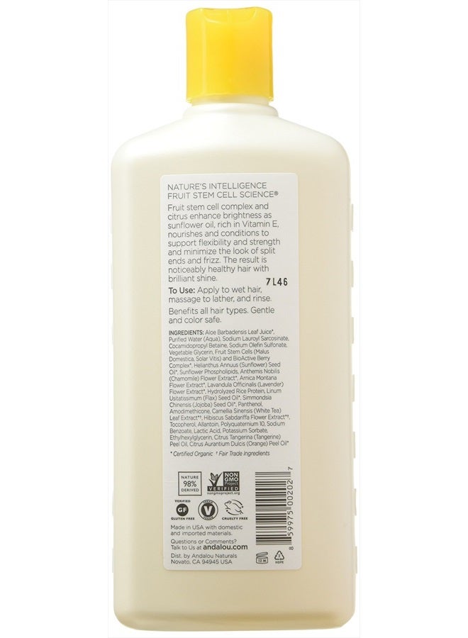 Andalou Naturals Sunflower and Citrus Brilliant Shine Shampoo, 11.5 Ounce - Image 2