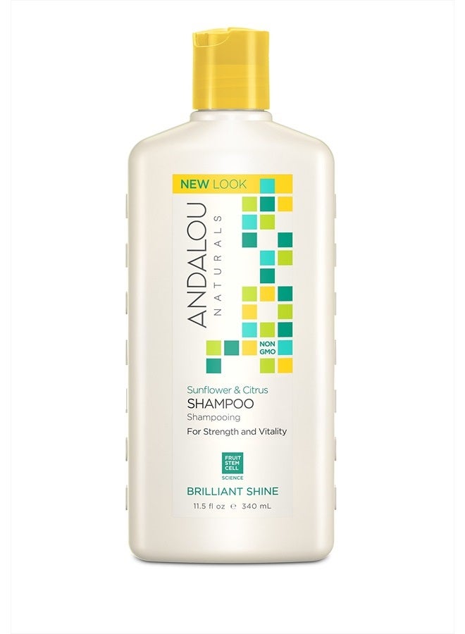 Andalou Naturals Sunflower and Citrus Brilliant Shine Shampoo, 11.5 Ounce - Image 1
