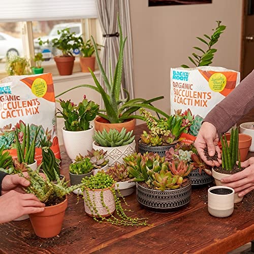 Back to the Roots 100% Organic Succulent & Cacti Mix (6 Quart) | Made in The USA | Premium Nutrition for Indoor and Outdoor Plants - Image 5