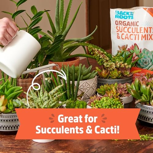 Back to the Roots 100% Organic Succulent & Cacti Mix (6 Quart) | Made in The USA | Premium Nutrition for Indoor and Outdoor Plants - Image 3