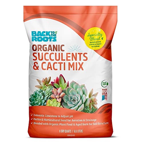 Back to the Roots 100% Organic Succulent & Cacti Mix (6 Quart) | Made in The USA | Premium Nutrition for Indoor and Outdoor Plants - Image 1