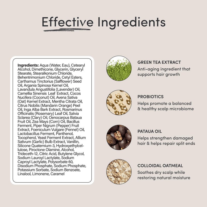 Jupiter, Physician-Formulated Scalp Balancing Conditioner for Dry, Itchy, Oily, Flaky Scalp, Sulfate-Free, Natural Fragrance, Vegan, Color-Safe, & Paraben-Free Conditioner for Women & Men - Image 3