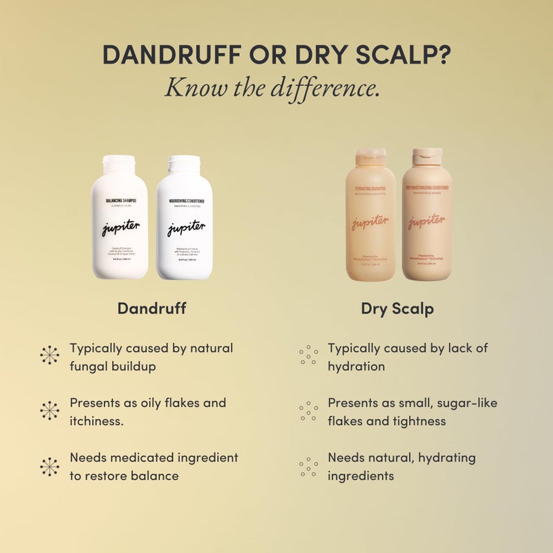 Jupiter, Physician-Formulated Scalp Balancing Conditioner for Dry, Itchy, Oily, Flaky Scalp, Sulfate-Free, Natural Fragrance, Vegan, Color-Safe, & Paraben-Free Conditioner for Women & Men - Image 5