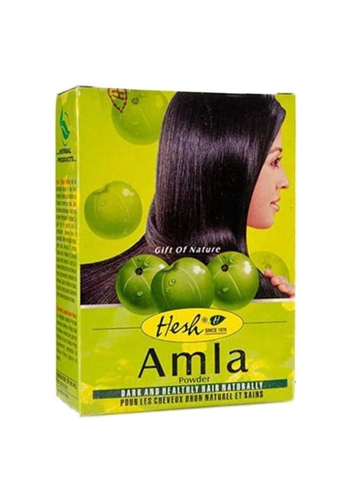 Hesh Amla Powder - 100g for Dark and Healthy Hair - Image 1