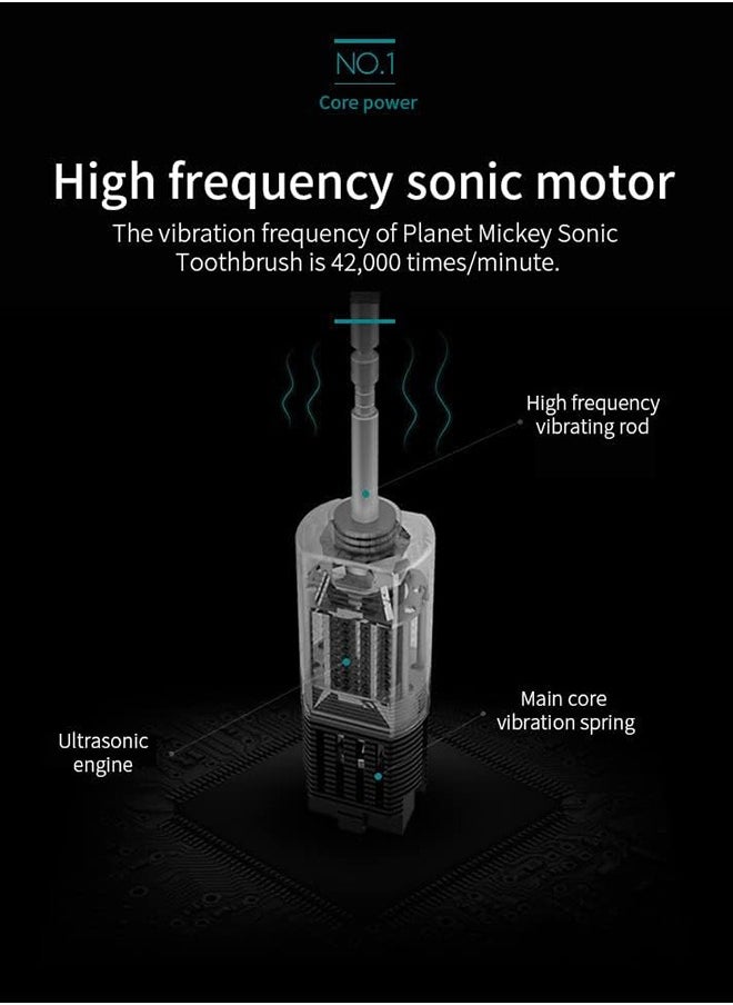 Sonic Electric Toothbrush - with 10 Brush Heads and Travel Case - 180 Days on a Single Charge - 6 Modes - 42000 high-Frequency Vibration - 2 Minutes Built-in Smart Timer for Adults and Teenagers (Black)