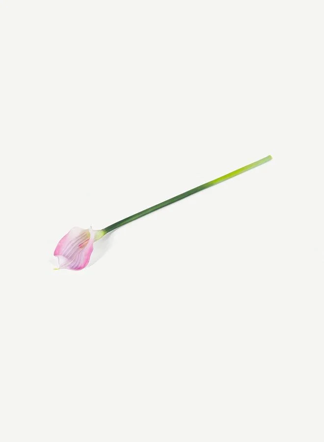 OC HOME Calla Lily Purple