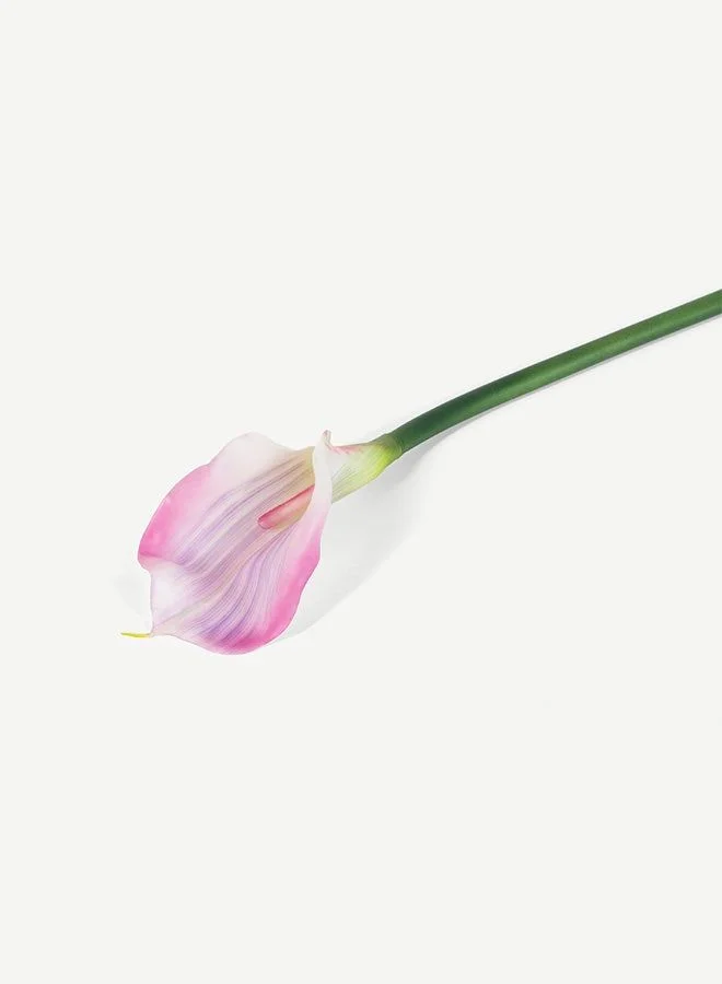 OC HOME Calla Lily Purple