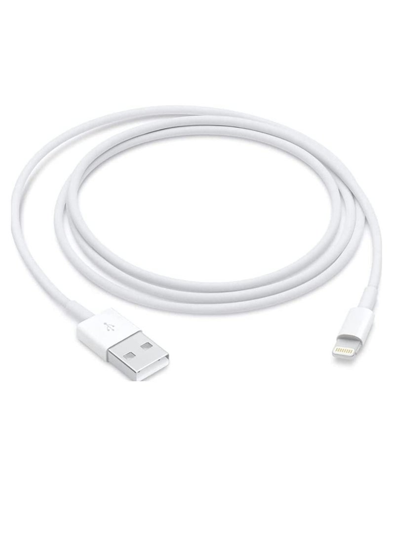 20W USB C Fast Charger Plug Cable for iPhone 13 12 Pro Max/Mini/11/XS/XR/X/8 Plus/iPad, Iphone Fast Charger - Image 2