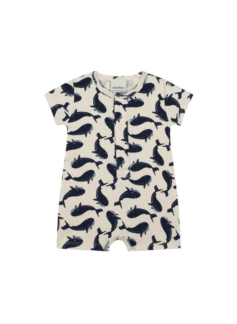 Antebies Whale Romper