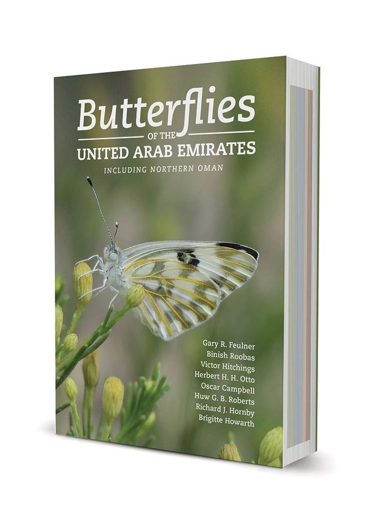 Butterflies of the UAE & Northern Oman