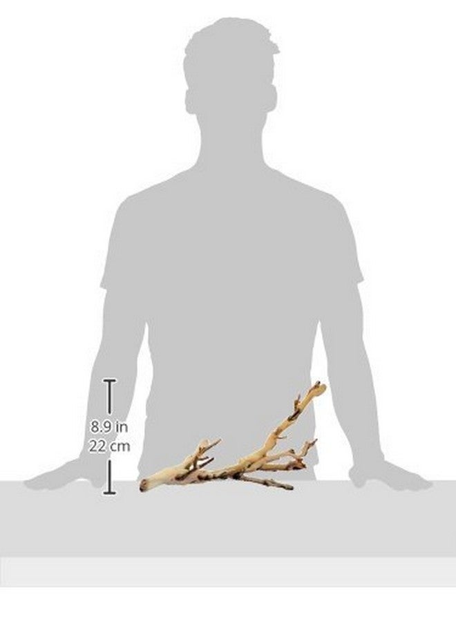 إكسو تيرا (عبوة من قطعتين) فرع غابة إكسو تيرا، صغير - Image 2