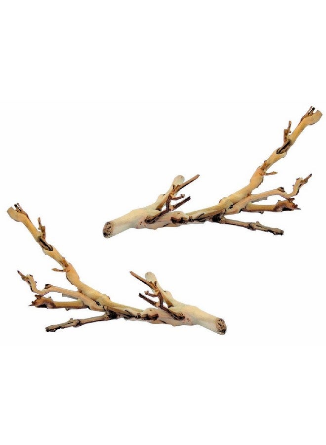 إكسو تيرا (عبوة من قطعتين) فرع غابة إكسو تيرا، صغير - Image 1