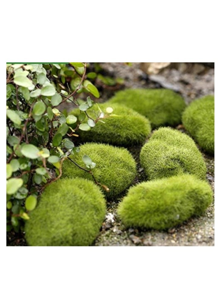 الواحة-TH 12 قطعة من صخور الطحالب الاصطناعية، عشب أخضر، أحجام مختلفة، أحجار طحالب لتنسيقات الزهور، المناظر الطبيعية المصغرة، حدائق الجنيات، الأعمال اليدوية - Image 4