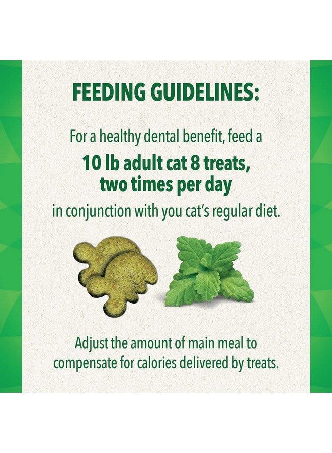 Greenies FELINE GREENIES Natural Dental Care Cat Treats Catnip Flavor, 21 oz. Tub - Image 3