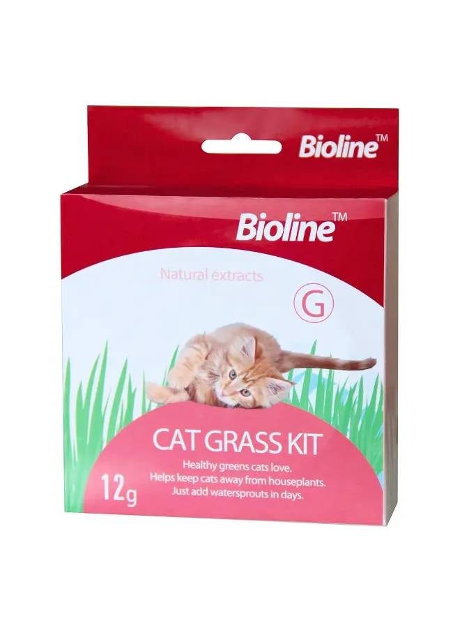 Bioline طقم عشب القطط من بيولين 12 جرام - Image 1
