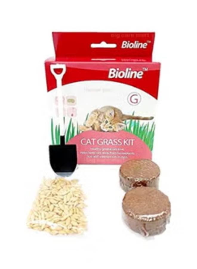 Bioline طقم عشب القطط من بيولين 12 جرام - Image 2