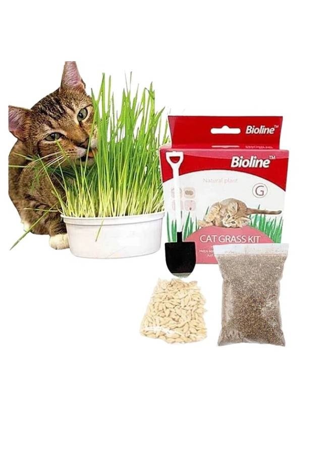 Bioline طقم عشب القطط من بيولين 12 جرام - Image 3