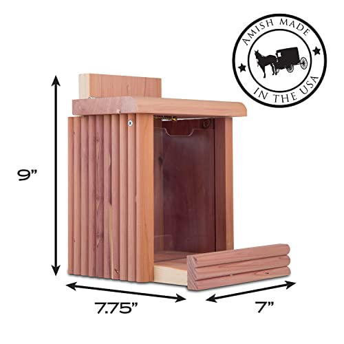 Pennington Cedar Squirrel Snacker Feeder, 2.75 LB Capacity - Image 2