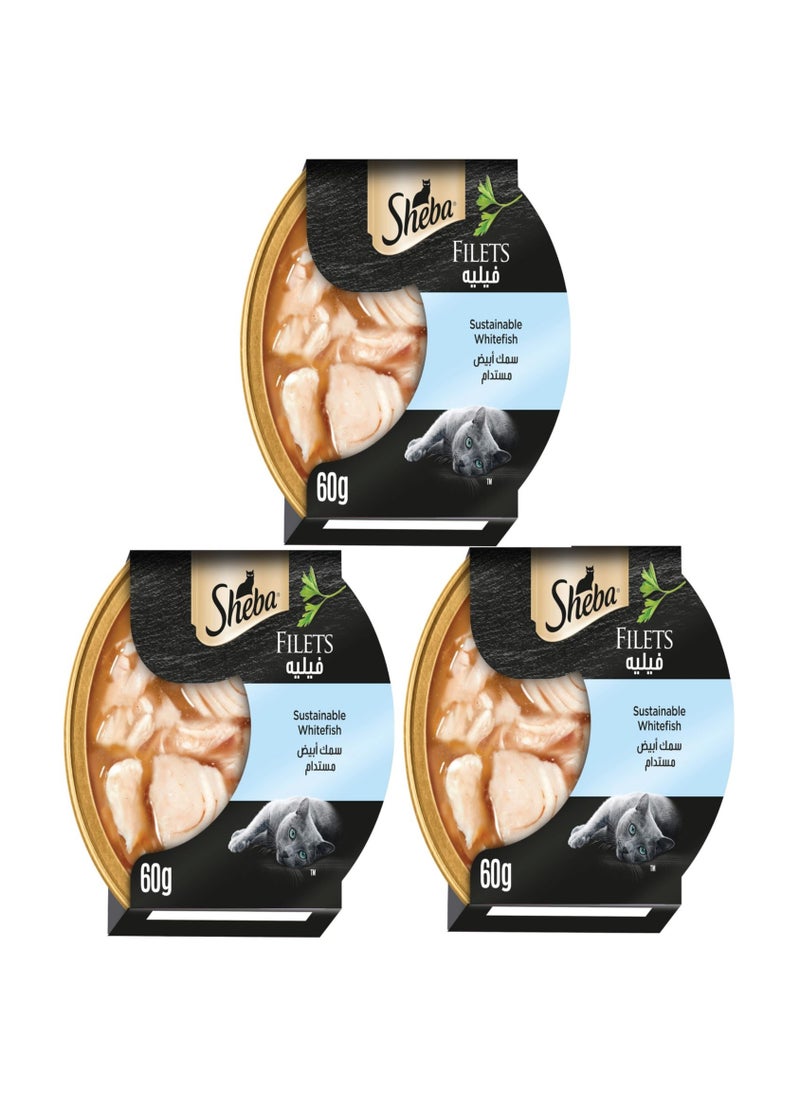 Sheba Sheba Wet Cat Food Fillet White Fish Sustainable This wet food from Sheba is made for smooth and reliable consumption and is rich in the essential nutritional requirements of Dom cats 60g 3 packs  - Image 1