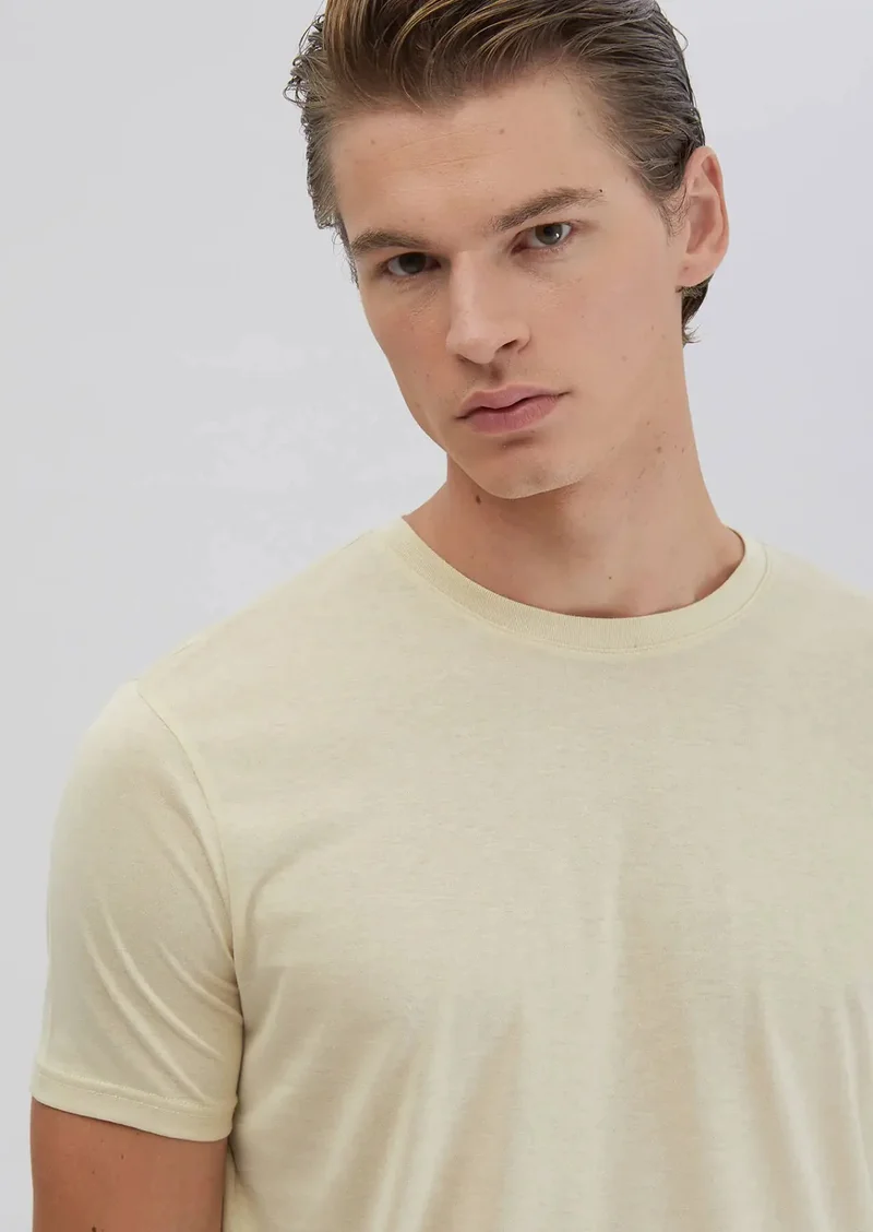 RAMSEY Stone Plain Crew Neck T-Shirt