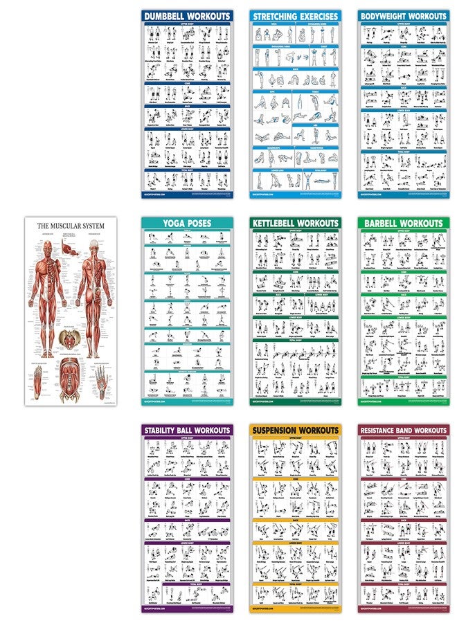 Palace Learning 10 Pack - Exercise Workout Poster Set - Dumbbell, Suspension, Kettlebell, Resistance Bands, Stretching, Bodyweight, Barbell, Yoga Poses, Exercise Ball, Muscular System (PAPER, NON LAMINATED,18" x 24") - Image 1