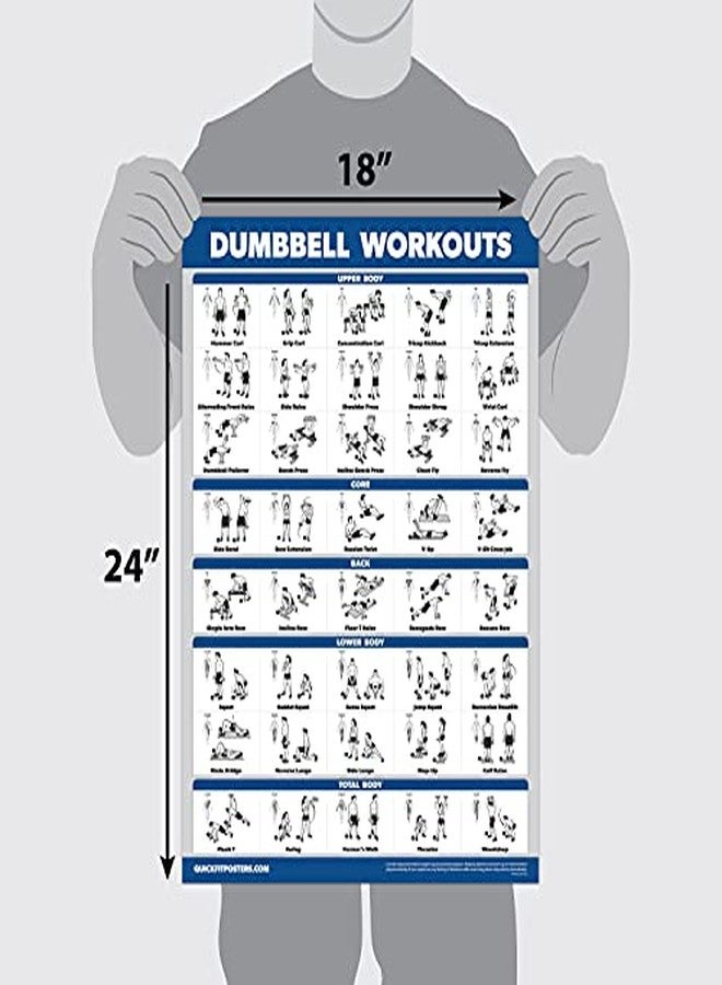 Palace Learning 10 Pack - Exercise Workout Poster Set - Dumbbell, Suspension, Kettlebell, Resistance Bands, Stretching, Bodyweight, Barbell, Yoga Poses, Exercise Ball, Muscular System (PAPER, NON LAMINATED,18" x 24") - Image 2