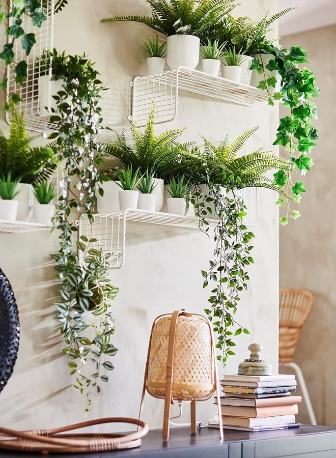 سويس كانتون نبتة اصطناعية داخلية مزروعة مع أصيص – نبات ديكوري صغير بتصميم واقعي يمنح مظهراً طبيعياً، يحافظ على نضارته طوال العام، مثالي لديكور المنزل، أنيق ومناسب للمساحات الصغيرة، سهل التخزين، ويضفي لمسة جمالية على أي مساحة معيشة - Image 4